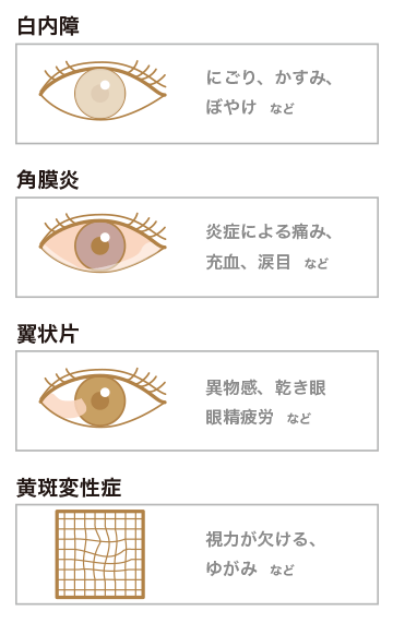 主な眼疾患の例