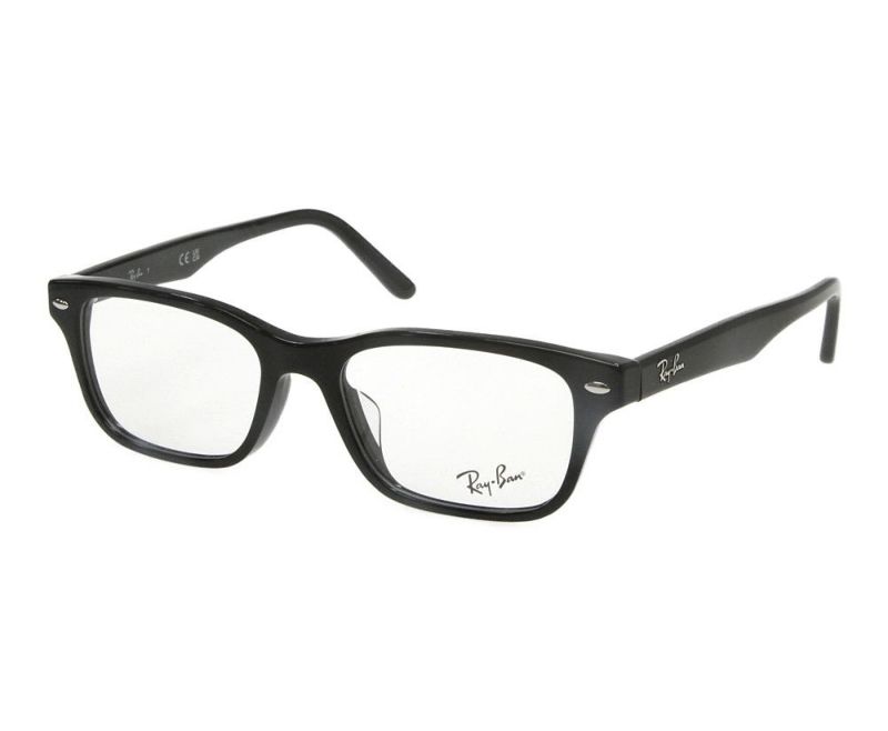 Ray-Ban（レイバン） RB 5345-D