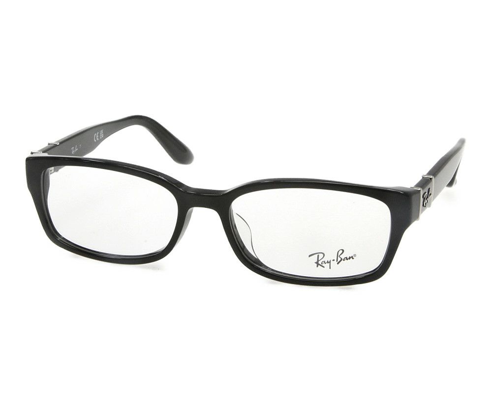 Ray-Ban（レイバン） RB5198